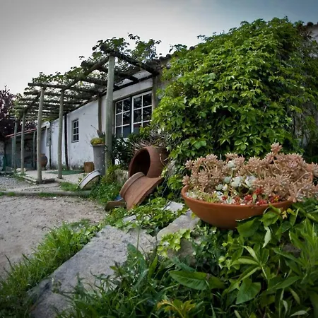 Quinta Maria Gil - B *